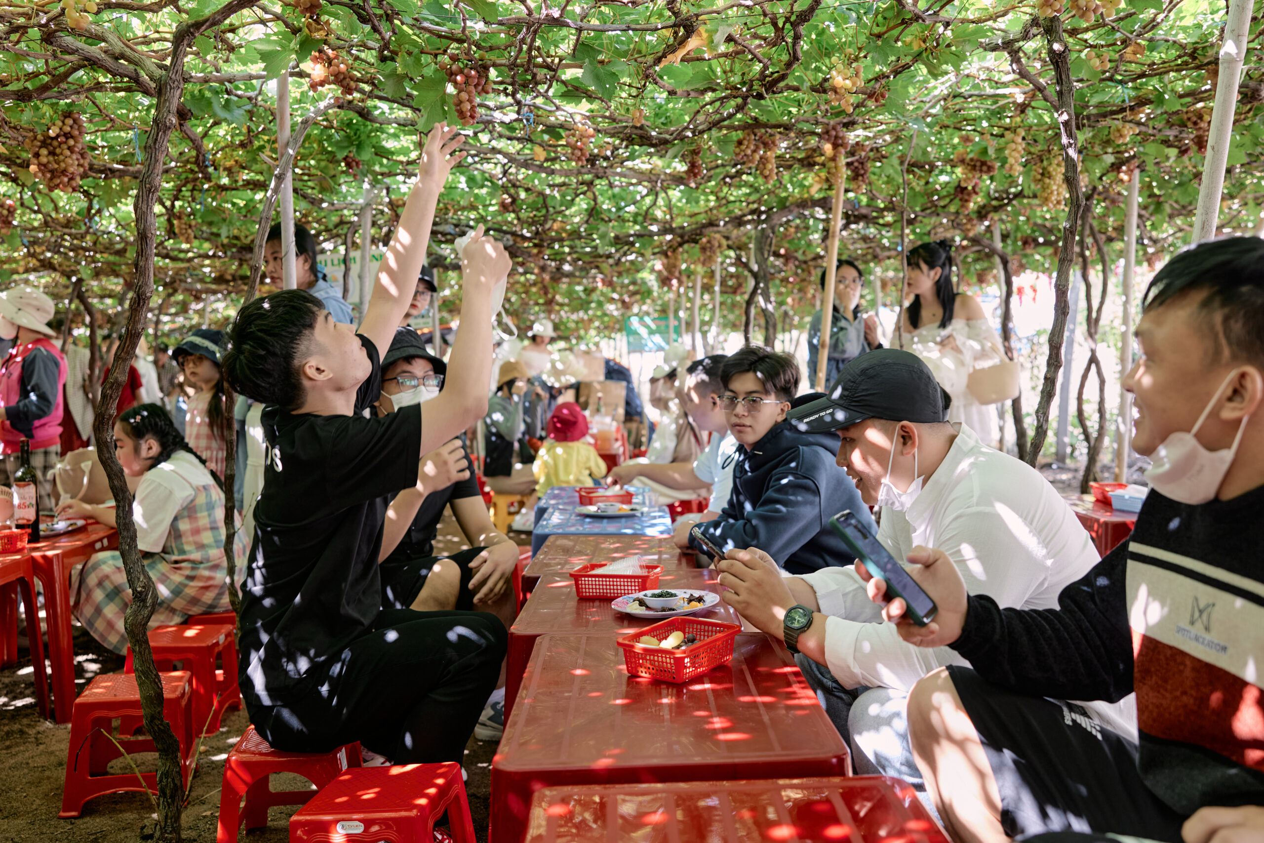 team building anh hong food